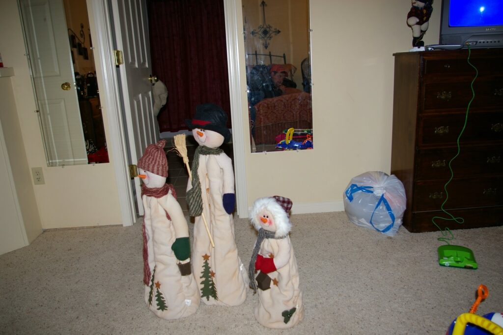 IMGP6506