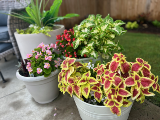 Spring Projects