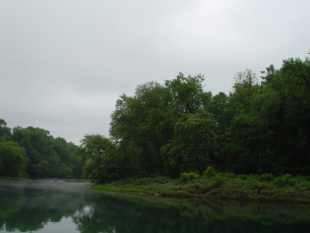 DSC00493