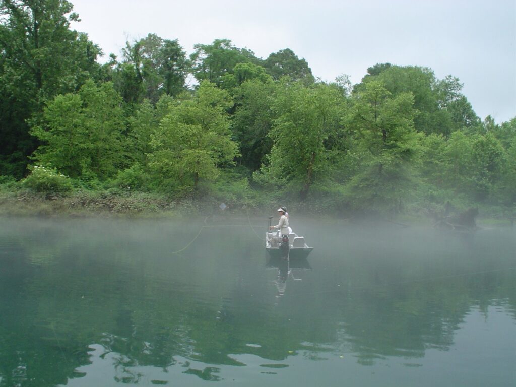 DSC00500
