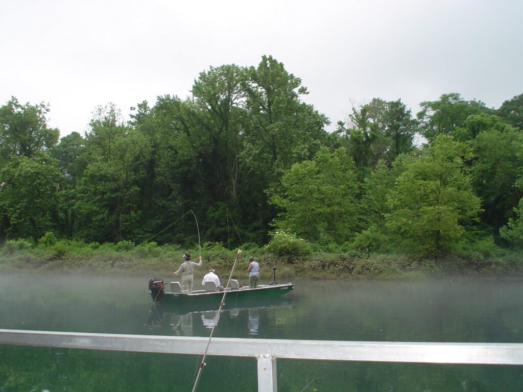 DSC00501