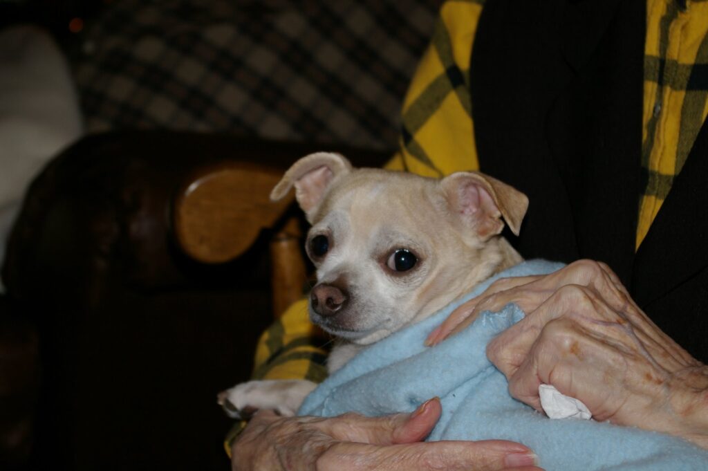 IMGP0434
