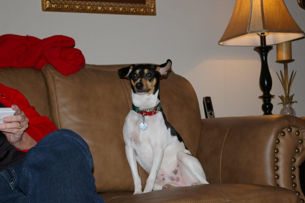 IMGP0876