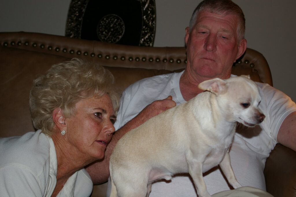 IMGP0947
