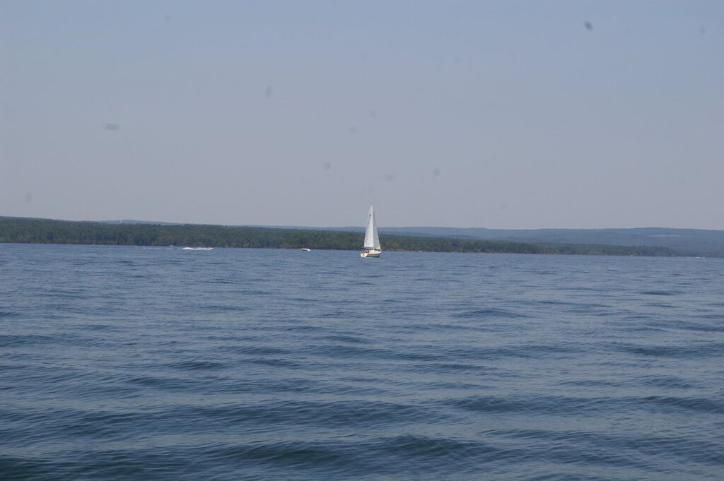 IMGP5591