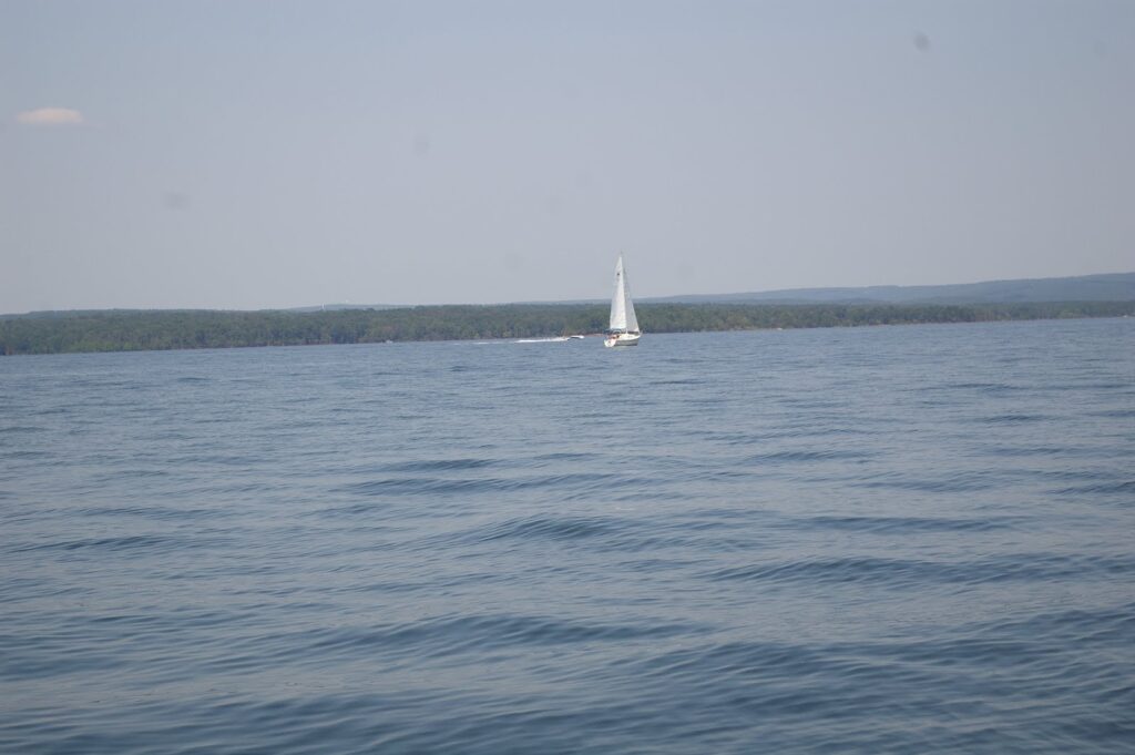 IMGP5593
