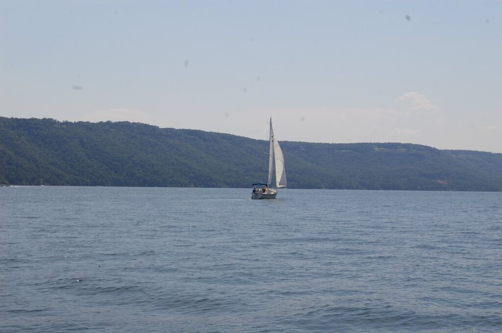 IMGP5608