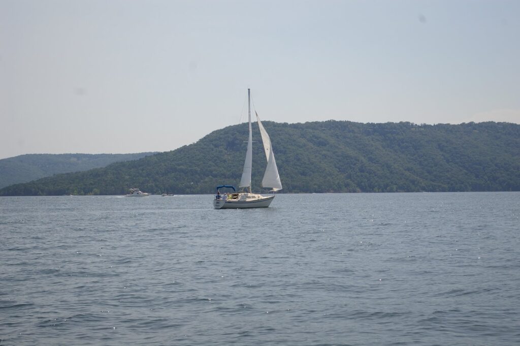IMGP5610