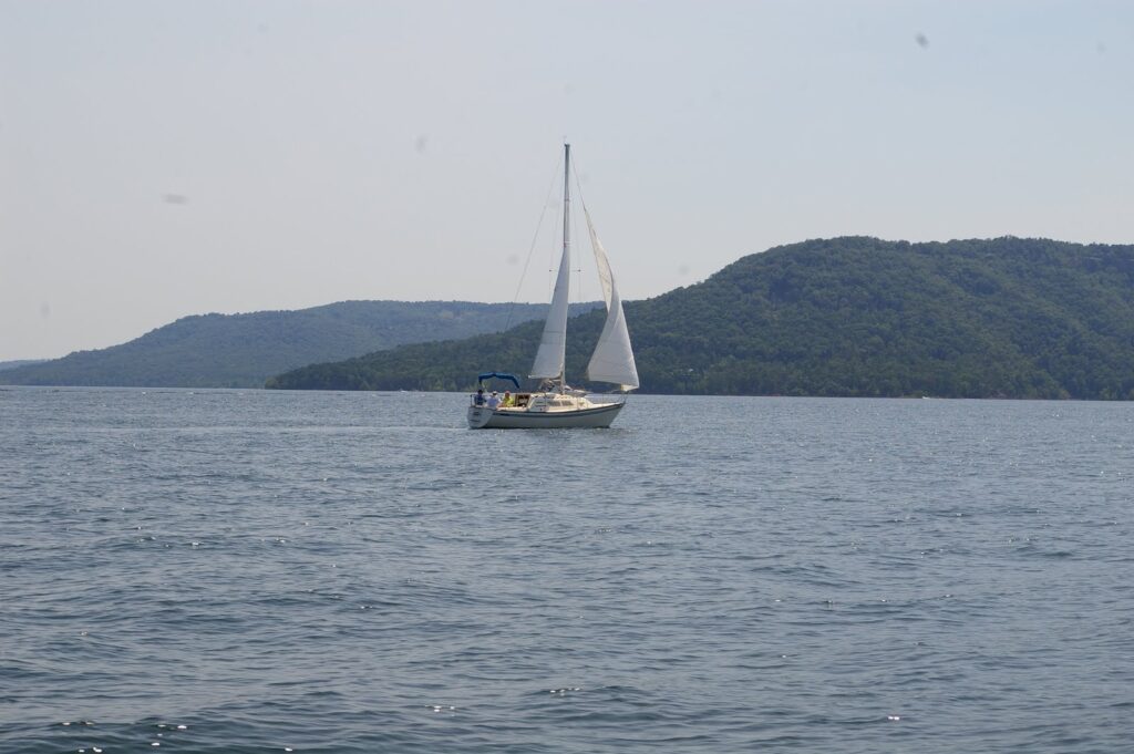 IMGP5611
