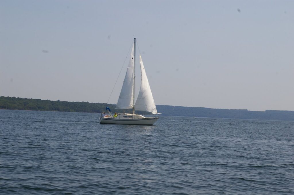 IMGP5612