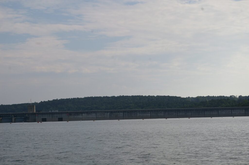 IMGP5690