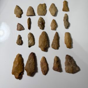 Eastern Arkansas Farm Collection: 20 pieces