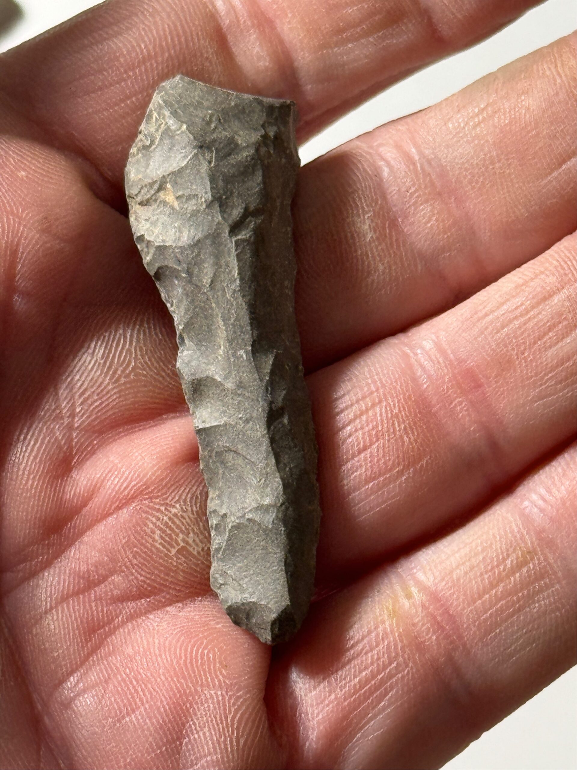 3 Piece Lithic Collection – Pangburn, AR (White County) - Image 4