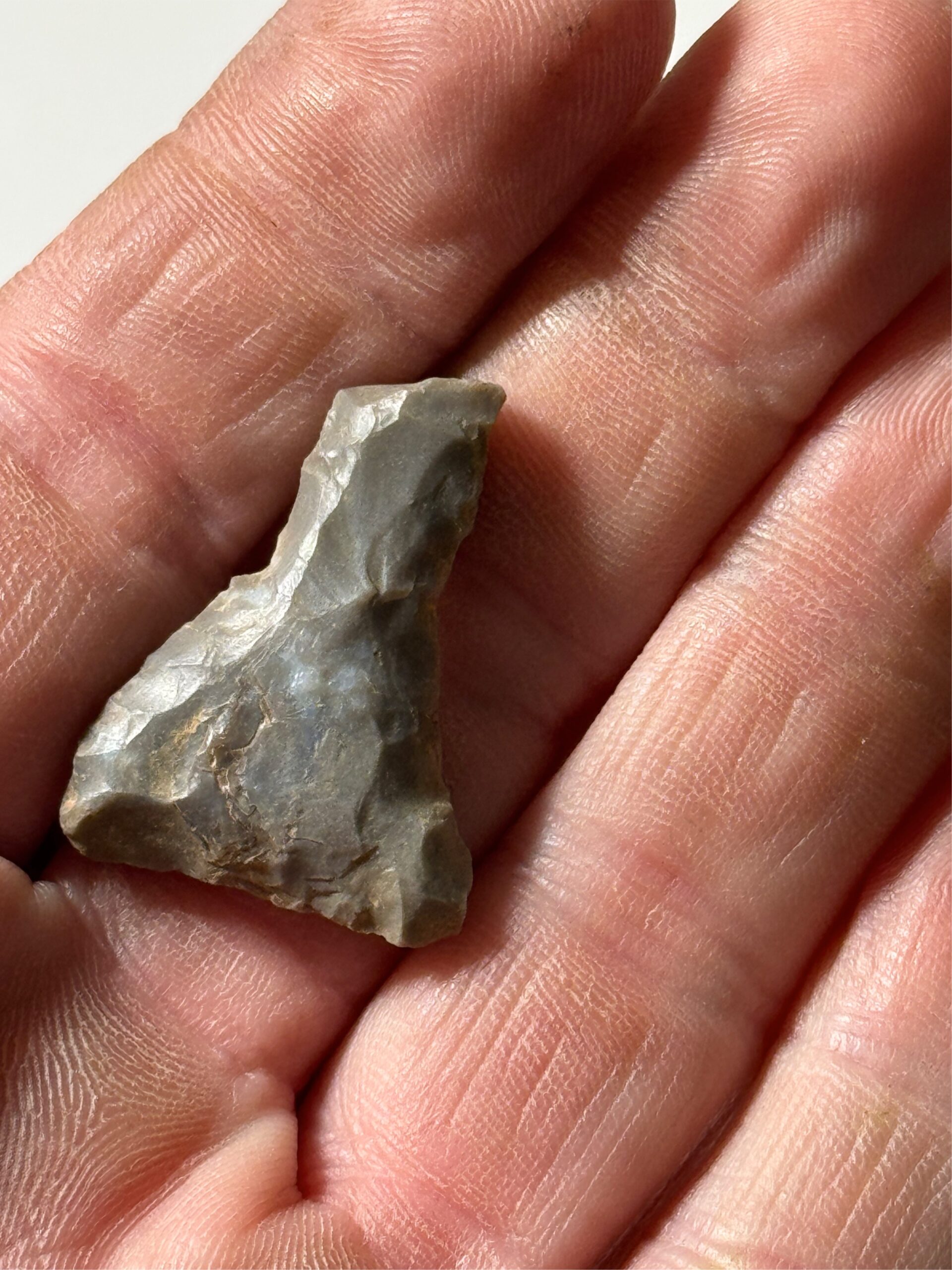 3 Piece Lithic Collection – Pangburn, AR (White County) - Image 3