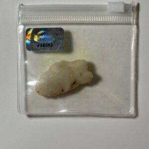 Side-Notched Scraper/Point